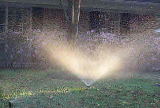 Sprinkler Watering | Instructions and Tips