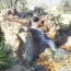 Water Features 8